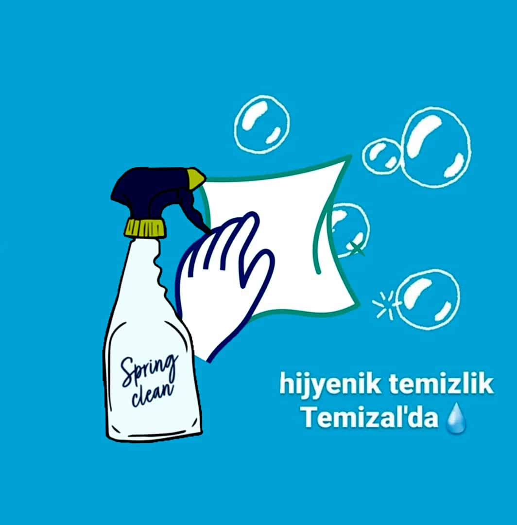 Ev Temizliğinde Kullanılan Kimyasal Maddeler